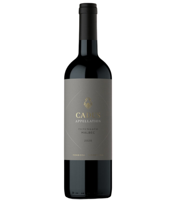 Cadus Appelation Tupungato Malbec