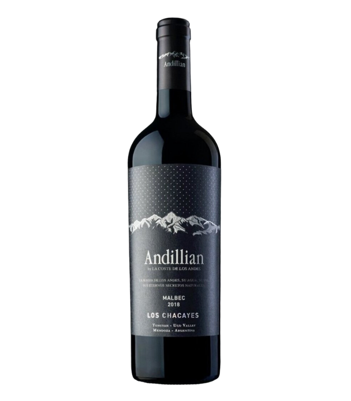 Andillian Malbec Los Chacayes